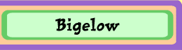  Bigelow 